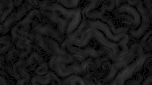 Modern Abstract Topographic Contour Line Pattern - Seamless Black and White Organic Background Design