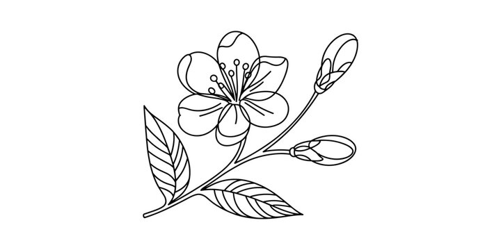 Black line of a cherry blossom branch with flower and leaves line black and white