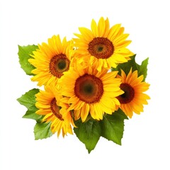 Obraz premium Sunflowers arrangement photography botanical.