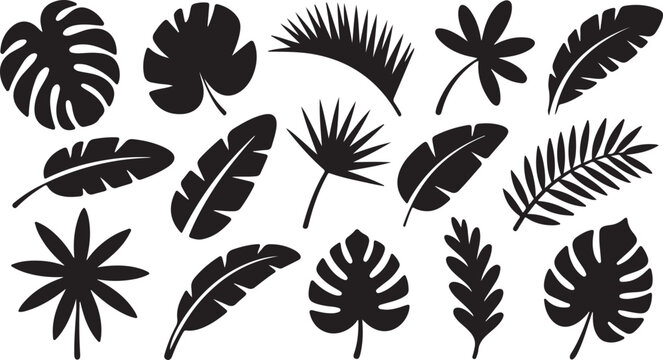 Collection of various tropical leaf silhouettes on white background for design elements