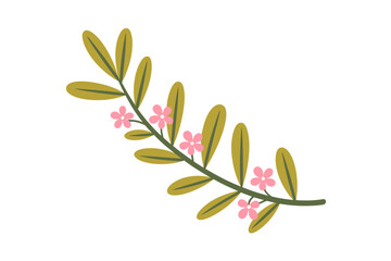 Obraz premium Delicate pink flowers and olive green leaves a dark green branch isolated white floral