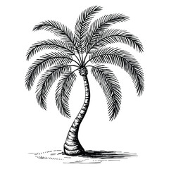 Black style palm beach tree summer rest single icon bitmap raster symbol stock illustration suitable for holiday resort tropical and travel themes © Nass Studio