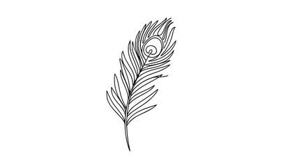 Minimal peacock feather continuous line vector illustration © MD