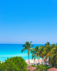 Fototapeta premium Varadero, Cuba; 04.07.2023. Beautiful, colourful sunset on the beach in Varadero, Cuba! Cote d'Azur of the Atlantic Ocean, next to the Caribbean Sea. Cuba wild palm beach background. Nature blue sea l