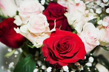 bukiet róż  © Marcin Łazarczyk