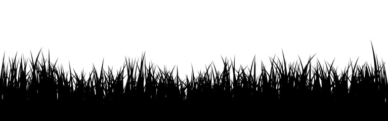 Fototapeta premium Meadow silhouette with grass, plants on plain. Panoramic summer lawn landscape with herbs, various weeds. Herbal border, frame element. Black horizontal banners. Vector illustration