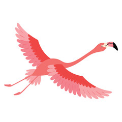 Obraz premium Cute african bird pink flamingo exotic tropical character isolated wildlife animal nature wild fauna flying vector illustration