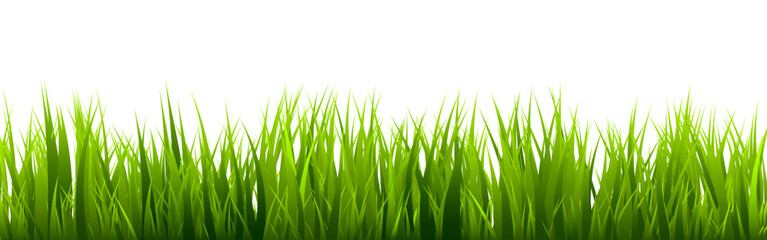 Fototapeta premium Meadow silhouette with green grass, plants on plain. Panoramic summer lawn landscape with herbs, various weeds. Herbal border, frame element. Black horizontal banners. Vector illustration