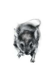 和風なネズミの墨絵素材