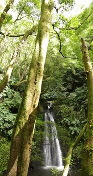Salto do Prego waterfall in a lush green forest of Azores.