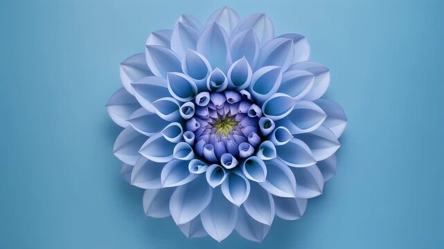 Blue flower background with blooming motion