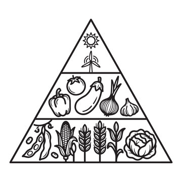 Pir&aacute;mide nutricional y ecol&oacute;gica con niveles de vegetales, cereales, hortalizas y energ&iacute;a sustentable lineal