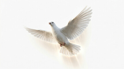 Obraz premium Elegant white dove flying with wings fully spread, isolated on clean background. Soft lighting enhances feather detail and graceful motion. Perfect for peace symbols, spiritual campaigns, wedding invi
