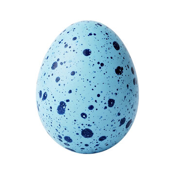 A beautifully speckled blue robin's egg against a white background.
