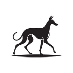 Obraz premium Ibizan Hound Dog Silouette - Minimalist Ibizan Hound Vector - Illustration of Ibizan Hound Dog.