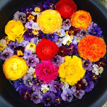 Colorful ranunculus and viola flowers floating in water