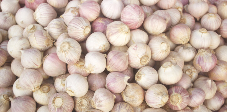 Many single clove garlic or chinese garlic cloves as background