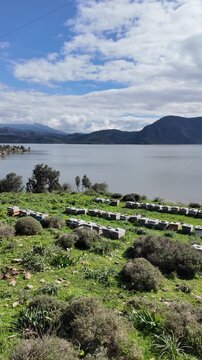 Rows Of Beehives In Green Field Near Lake Bafa Shore. High quality 4k footage