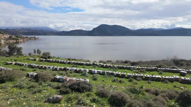 Rows Of Beehives In Green Field Near Lake Bafa Shore. High quality 4k footage