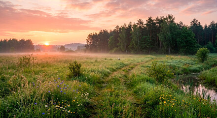 sunrise over the field © Александр Арендарь