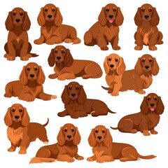 Fototapeta premium Cartoon illustrations of various poses of a breed with long ears and brown fur