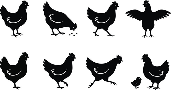 Various Chicken Silhouettes in Different Poses.