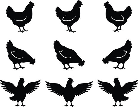 Black Silhouette Chicken Set Various Poses.