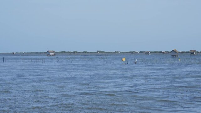 Traditional stilt fishing structures in calm waters off northern Sri Lanka, handheld pan left