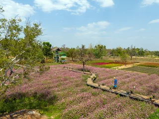 Drone Overhead View of Flower Garden with Wooden Bridge and Gardener Watering Plants © 2D_Jungle