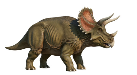 Isolated Triceratops dinosaur realistic detailed rendering with horns and frill on display © Alaric