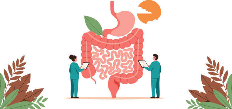 Flat vector illustration of doctors examining human digestive system with stomach and intestines for medical health education concepts.