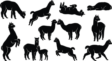 Various Silhouettes of Llamas in Action. © Ramz Studio