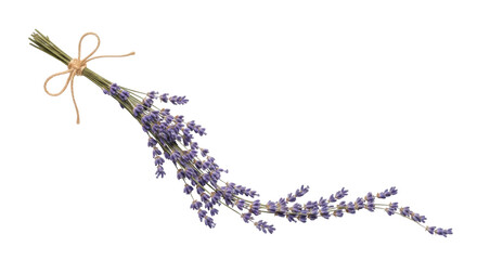 Isolated sprig of fresh, dried lavender flowers tied with twine on a light surface © Motruc