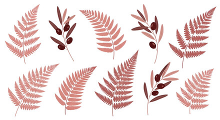 Obraz premium Elegant botanical collection of stylized fern leaves and olive branches in warm, rustic tones, ideal for serene nature-themed graphic design concepts and decorative accents