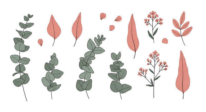 Versatile Botanical Illustration Collection Hand-drawn Eucalyptus Branches, Elegant Green Leaves, and Soft Terracotta Floral Elements for Natural Design Projects