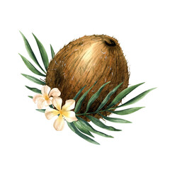 Watercolor whole tropical coconut fruit with greenery and blossom. Elegant summer illustration with white flower and leaves. Hand drawn isolated arrangement for oil, cosmetic packaging, menu design