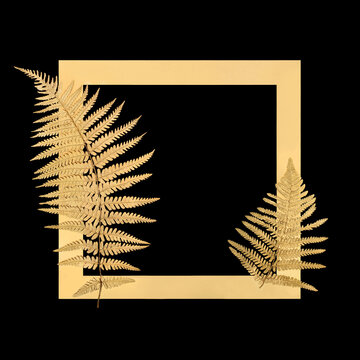 Gold fern leaves floral border isolated on black background. Nature zen design symbol for decorative purposes for greeting card.