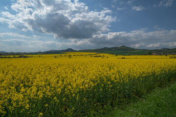 Obraz premium sunset of the Czech Central Mountain (Czech Republic) Europe.