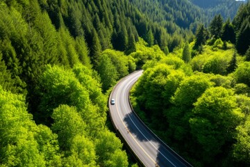 Fototapeta premium Aerial View of Winding Summer Highway Cutting Through Lush Green Forest Landscape