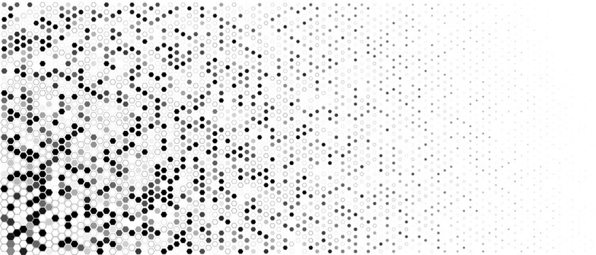Hexagon halftone field, dense left, fade right. Honeycomb mosaic, tech vibe. Topics technology, data. Use background, banner, UI, cover, print. Monochrome minimal geometric BG. Vector illustration