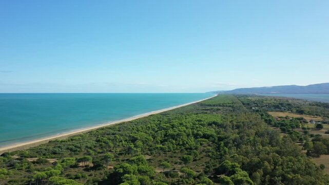 Drone shot of the lush green forest and long sandy beach along the Isola Varano nature reserve in Italy, with turquoise sea and clear blue sky.