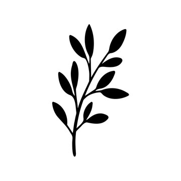 Elegant black silhouette of a sprig of leaves on a white background