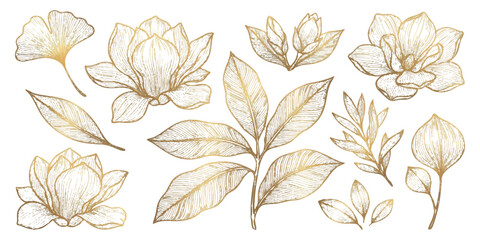 Elegant gold line art botanical set with magnolia flowers and ginkgo leaves vector illustration. © GraphixEra