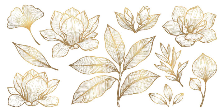 Elegant gold line art botanical set with magnolia flowers and ginkgo leaves vector illustration.