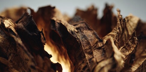 Close Up View Of Dried Plant Material