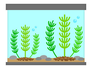 シンプルな水槽と水草のイラスト素材2