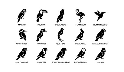 Fototapeta premium Silhouette collection of various bird species including macaw, toucan, and flamingo