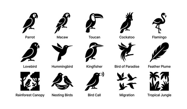 Diverse tropical birds and habitats silhouettes including parrot, flamingo, toucan, hummingbird