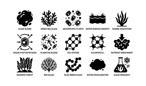 Marine ecosystem icons: algae bloom, chlorophyll, nutrient enrichment