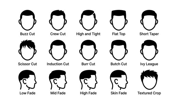 Guide to men's hairstyles: buzz, crew, high tight, flat, taper, scissor, induction, burr, butch, ivy, fade, crop